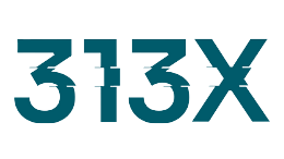 313x Cybersecurity Logo